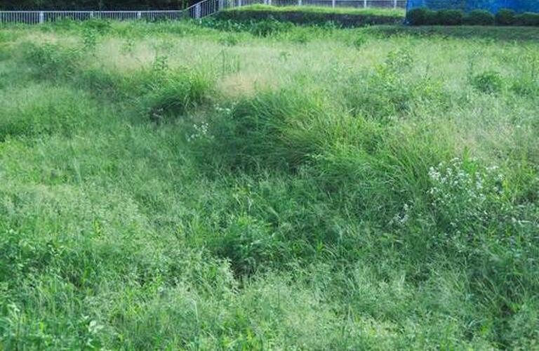 市街化調整区域の産業系の規制緩和について|山形市の不動産売却なら地域密着の、にしだ不動産