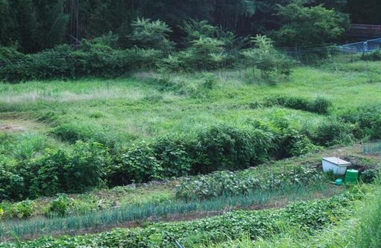 市街化調整区域の規制緩和【市街化区域隣接・近接区域】について|山形市の不動産売却なら地域密着の、にしだ不動産